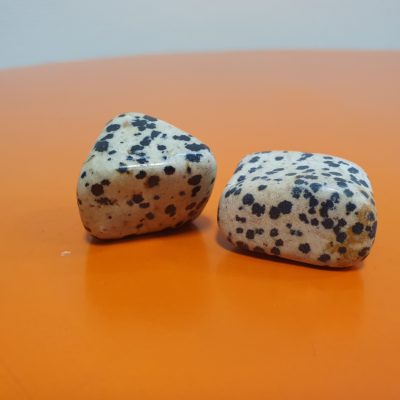 pierre roulée jaspe dalmatien